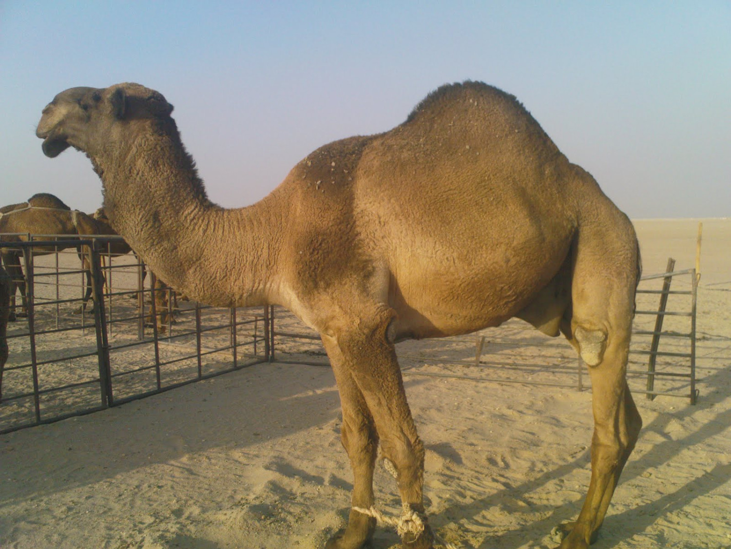 test