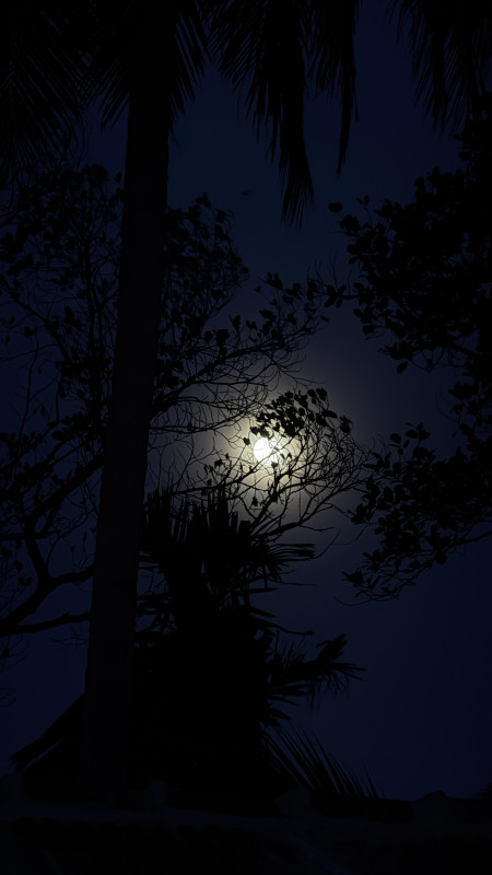 test 2